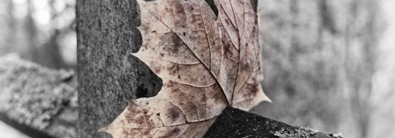 Andreas Dengs, www.photofreaks.ws / pixelio.de