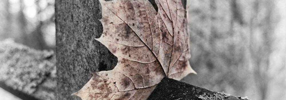 Andreas Dengs, www.photofreaks.ws / pixelio.de