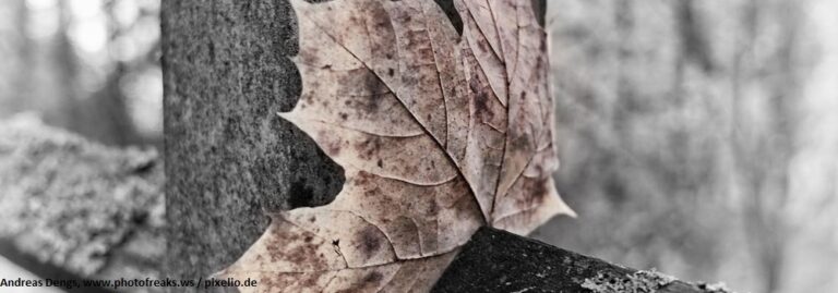 Andreas Dengs, www.photofreaks.ws / pixelio.de