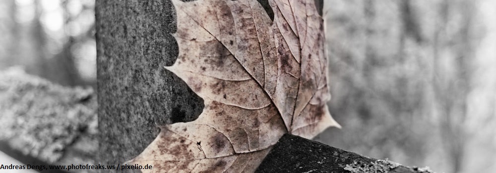 Andreas Dengs, www.photofreaks.ws / pixelio.de