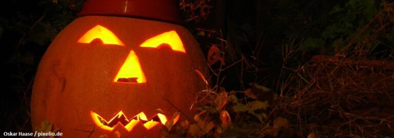 Oskar Haase / pixelio.de